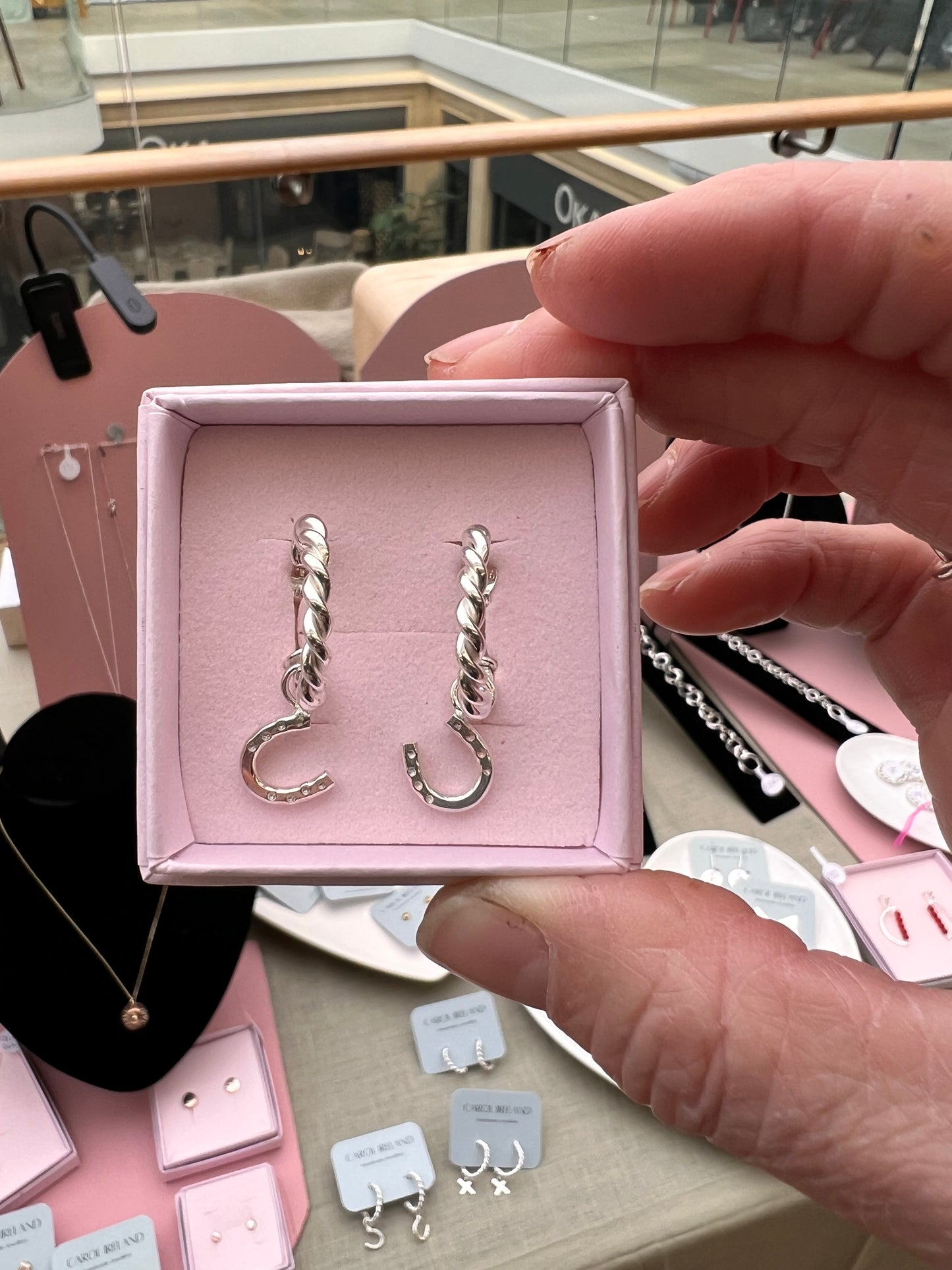 Hoops and Horseshoes Earrings