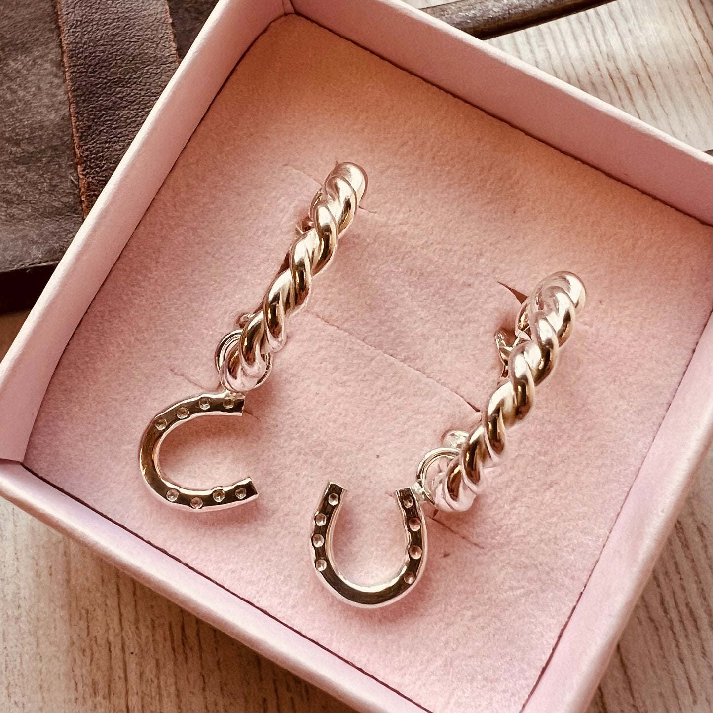 Hoops and Horseshoes Earrings